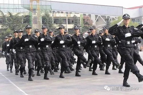 冬至过后数九寒天开启 津城气温与保安服务消解读